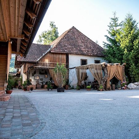 Resort Hisa Ida - Apartments With Hot Tub And Sauna Ivancna Gorica Buitenkant foto